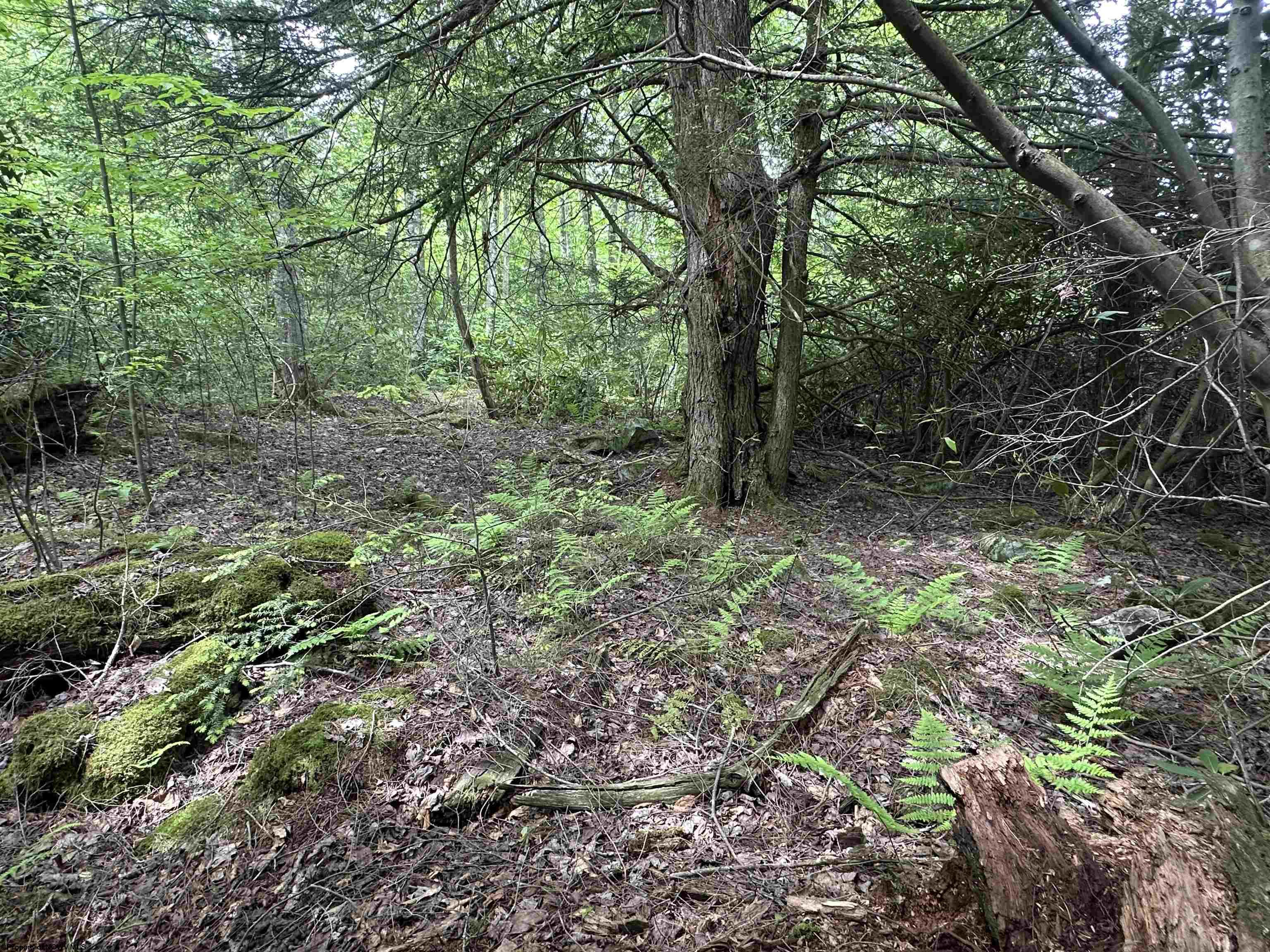 7 Tuscan Ridge Road Davis WV 26260