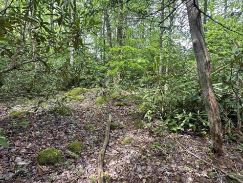 7 Tuscan Ridge Road Davis WV 26260