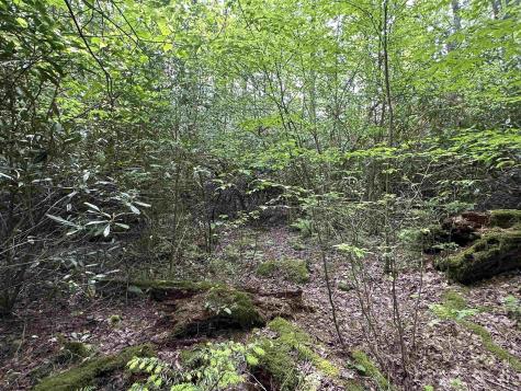 7 Tuscan Ridge Road Davis WV 26260