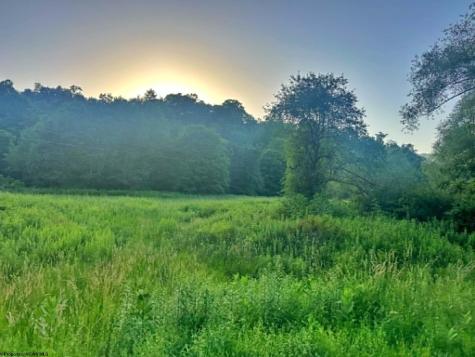 1 Saltlick Road Terra Alta WV 26764