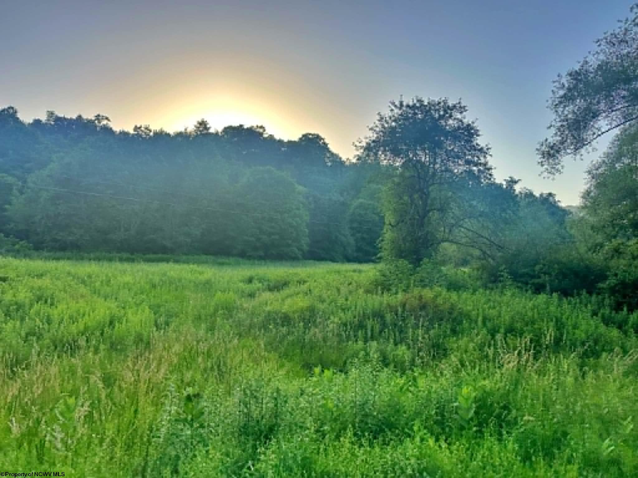 1 Saltlick Road Terra Alta WV 26764