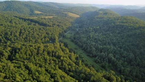 1 Saltlick Road Terra Alta WV 26764