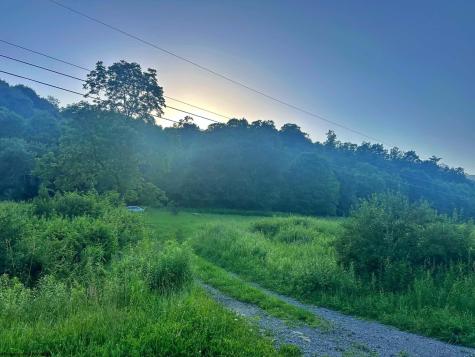 1 Saltlick Road Terra Alta WV 26764