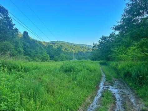 1 Saltlick Road Terra Alta WV 26764