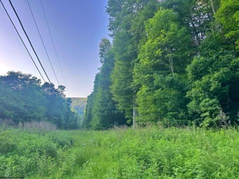 1 Saltlick Road Terra Alta WV 26764