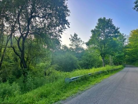 1 Saltlick Road Terra Alta WV 26764