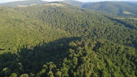 1 Saltlick Road Terra Alta WV 26764