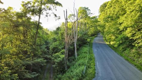 1 Saltlick Road Terra Alta WV 26764