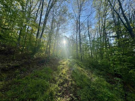 0 John Orr/sand Plant Road Independence WV 26374