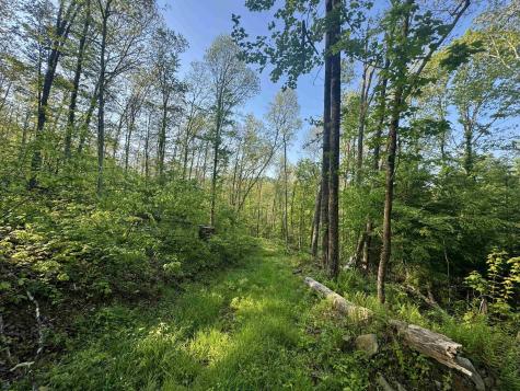 0 John Orr/sand Plant Road Independence WV 26374