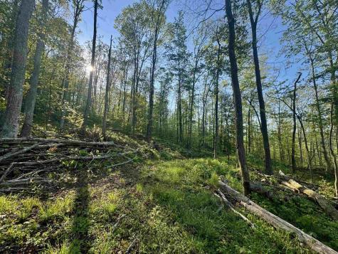 0 John Orr/sand Plant Road Independence WV 26374