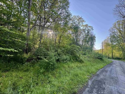 0 John Orr/sand Plant Road Independence WV 26374