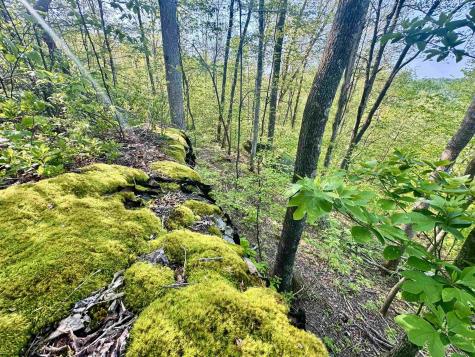 0 John Orr/sand Plant Road Independence WV 26374