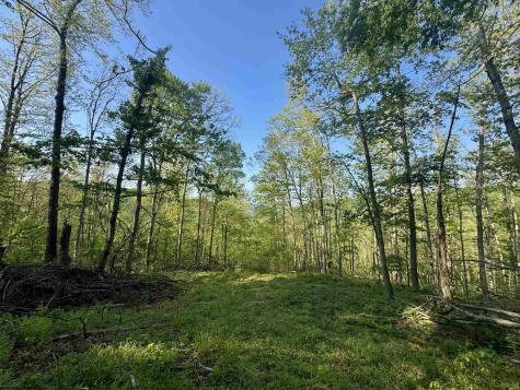 0 John Orr/sand Plant Road Independence WV 26374