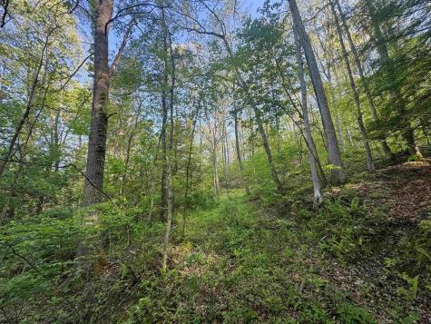 0 John Orr/sand Plant Road Independence WV 26374