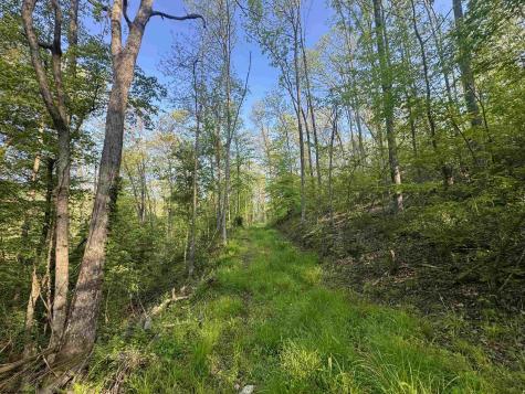 0 John Orr/sand Plant Road Independence WV 26374