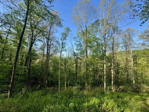 0 John Orr/sand Plant Road Independence WV 26374