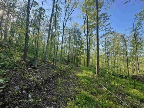 0 John Orr/sand Plant Road Independence WV 26374