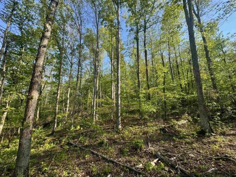 0 John Orr/sand Plant Road Independence WV 26374