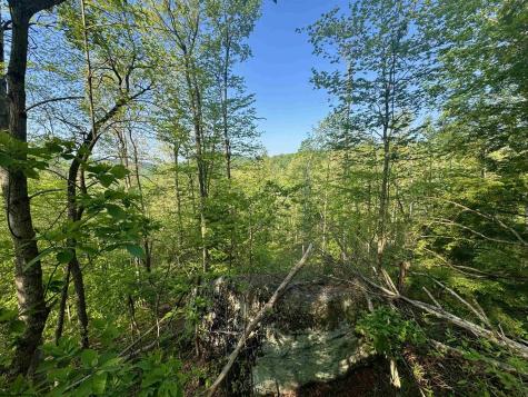 0 John Orr/sand Plant Road Independence WV 26374