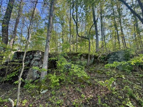 0 John Orr/sand Plant Road Independence WV 26374
