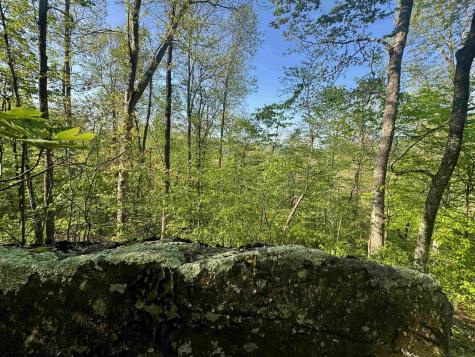0 John Orr/sand Plant Road Independence WV 26374