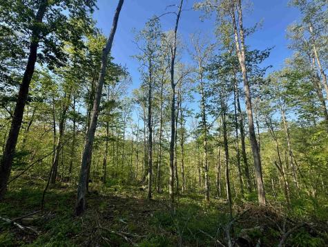 0 John Orr/sand Plant Road Independence WV 26374