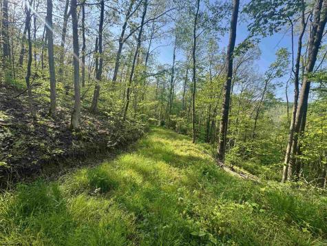 0 John Orr/sand Plant Road Independence WV 26374