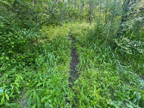0 John Orr/sand Plant Road Independence WV 26374