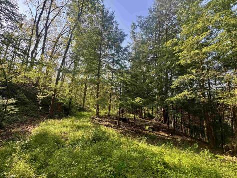 0 John Orr/sand Plant Road Independence WV 26374