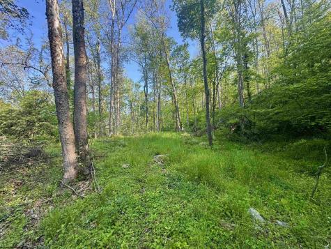 0 John Orr/sand Plant Road Independence WV 26374