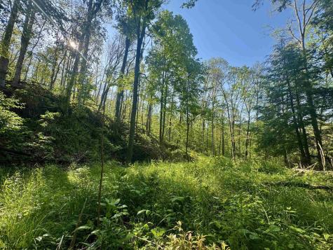 0 John Orr/sand Plant Road Independence WV 26374