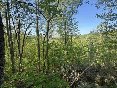 0 John Orr/sand Plant Road Independence WV 26374