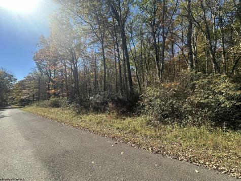 653 Pine Drive Terra Alta WV 26764