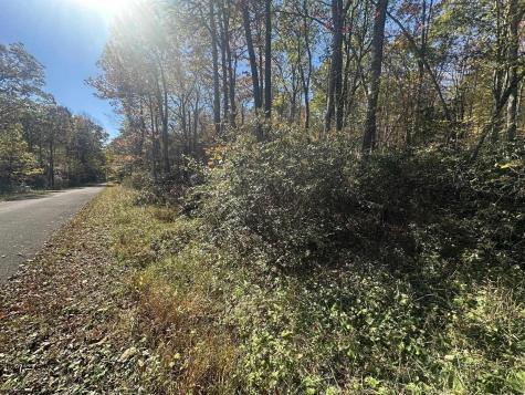 653 Pine Drive Terra Alta WV 26764