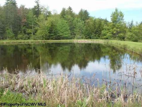 1 Red Spruce Trail Davis WV 26260