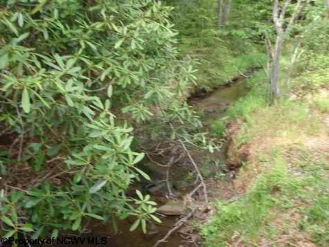 1 Red Spruce Trail Davis WV 26260