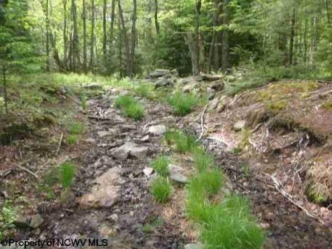 1 Red Spruce Trail Davis WV 26260