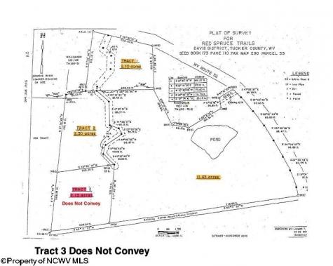 1 Red Spruce Trail Davis WV 26260