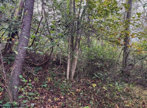 1 Pickhandle Hill Road Morgantown WV 26501
