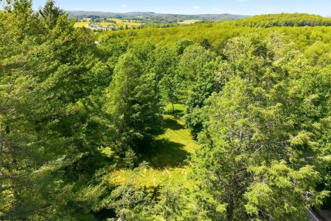 0 S Robert Stone Highway Reedsville WV 26547