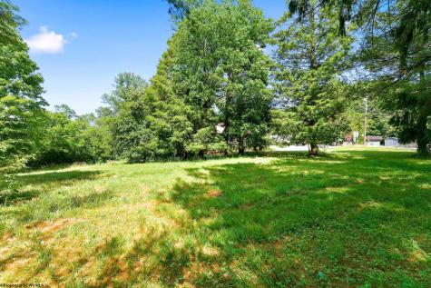 0 S Robert Stone Highway Reedsville WV 26547