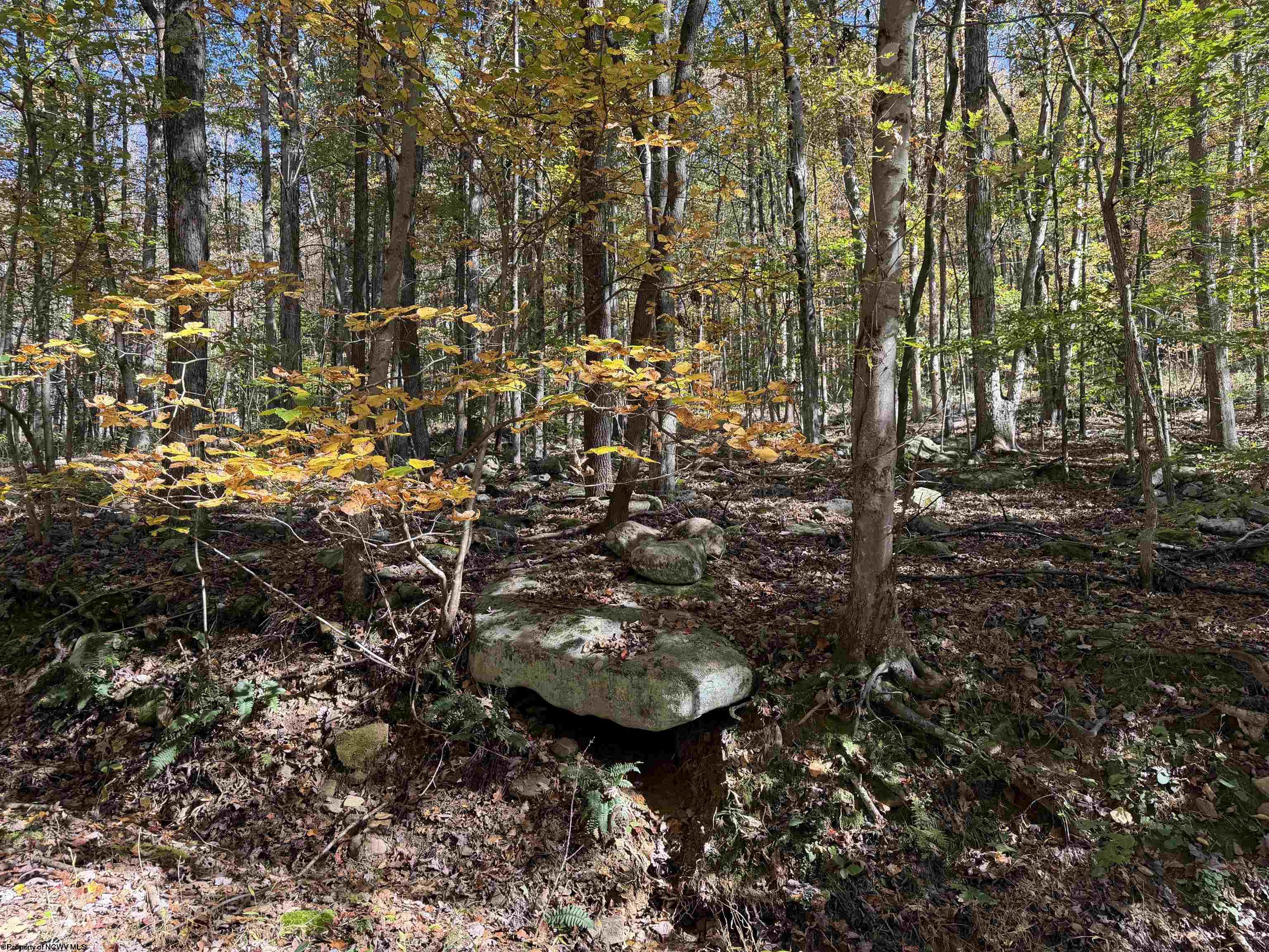 0 Clemtown Road Philippi WV 26416