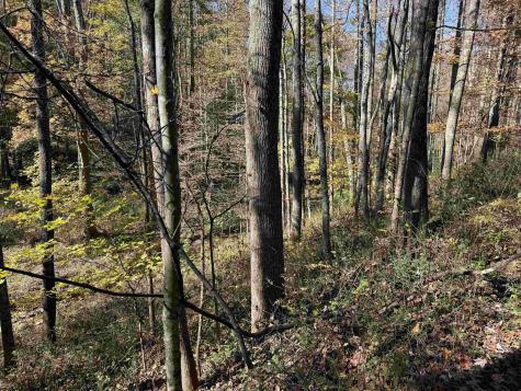 0 Clemtown Road Philippi WV 26416