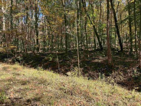 0 Clemtown Road Philippi WV 26416