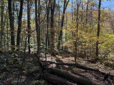0 Clemtown Road Philippi WV 26416