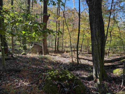 0 Clemtown Road Philippi WV 26416