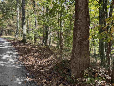 0 Clemtown Road Philippi WV 26416