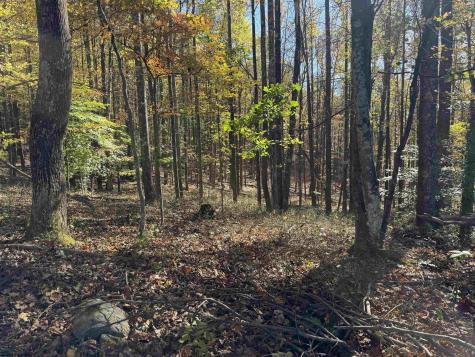 0 Clemtown Road Philippi WV 26416