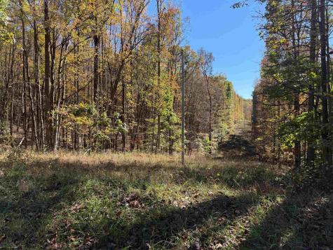 0 Clemtown Road Philippi WV 26416